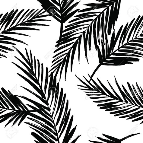 Palm Tree Leaves Drawing at GetDrawings | Free download