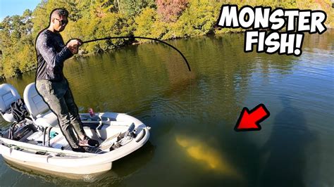 We Caught A Pond Monster Insane Youtube