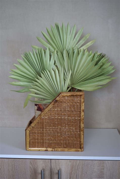 Dried Sun Palm Leaf Fans Flowerfantasee