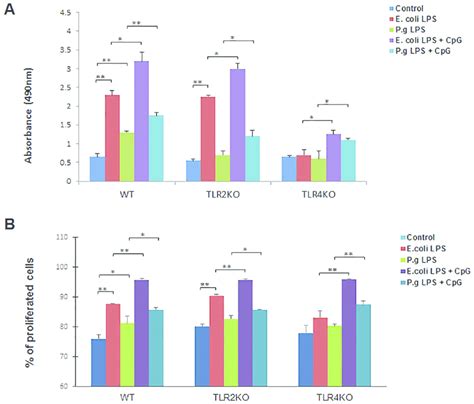 B Cell Proliferation After E Coli Lps P Gingivalis Lps And Cpg Odn