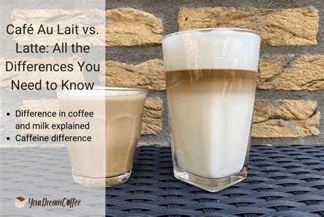 Café Au Lait vs Latte All the Differences You Need to Know