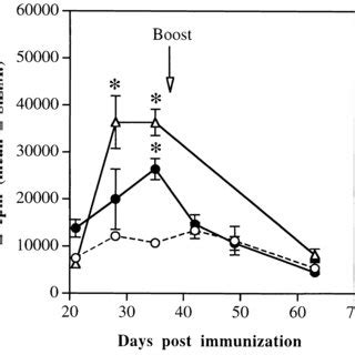 Proliferative Response Of Spleen Cells From Mice Immunized With