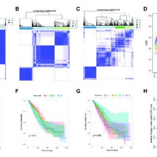 Consensus Clustering Of Tumor Ferroptosis Related Genes Expression