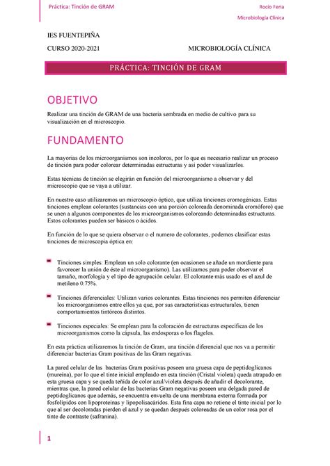 Microbiología Práctica Tinción de GRAM Prctica TinciÛn de GRAM