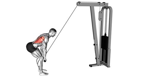 Cable Straight Arm Pulldown V Video Guide Tips