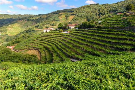 Excursión a la Ribeira Sacra desde Lugo Civitatis