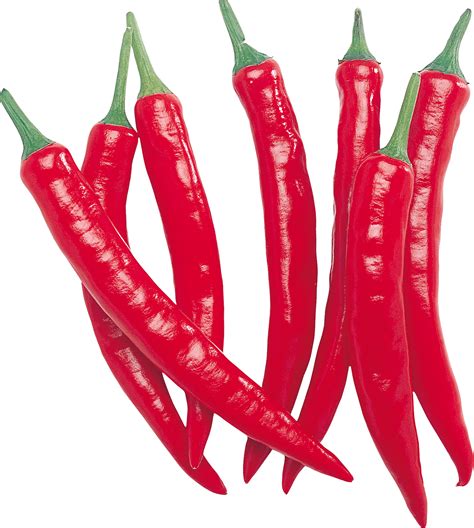 Red Chili Pepper Png Image Transparent Hq Png Download Freepngimg