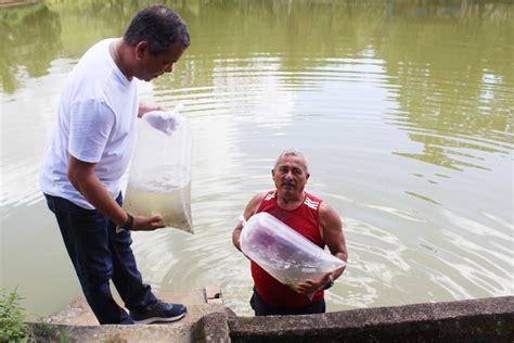 Keko Do Armaz M Distribui Mil Alevinos Para Piscicultores Cabenses