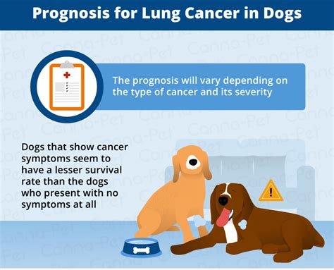 Can Dogs Get Lung Cancer