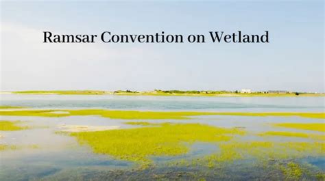 India Adds 10 More Wetlands Designated As Ramsar Sites To Make Total 64