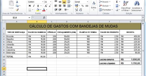 Programa Jovem Agricultor Do Futuro De Maracai Planilha De Custo