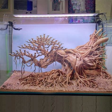 Drift Wood Bonsai Aquarium Aquascape Rock Decor Fish Tank Real Etsy