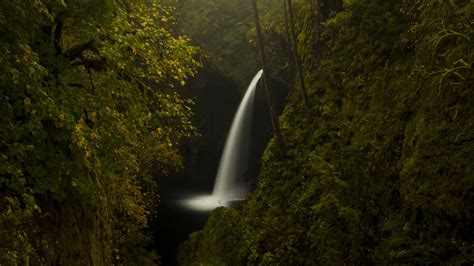 Landscape View Of Waterfall Pouring On River Yellow Green Leaves Tree