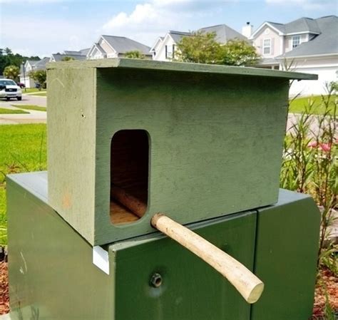 How To Build A Barn Owl Box Builders Villa