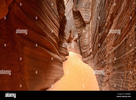 Inside Buckskin Gulch slot canyon, Kanab, Utah Stock Photo - Alamy