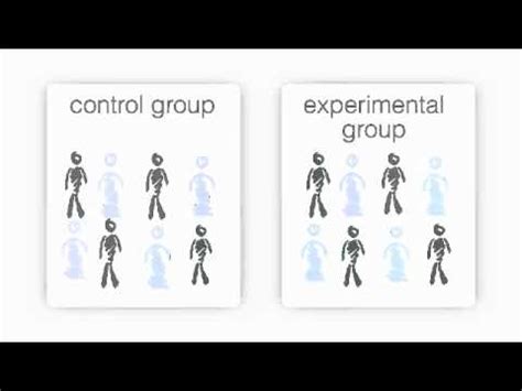 Exploring The Distinctions: Control Group Vs. Experimental Group