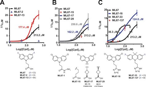 A High Throughput Functional Screen Identifies Small Molecule