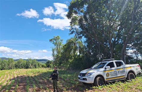 3º Batalhão Ambiental Da Brigada Militar Flagra área Desmatada Em