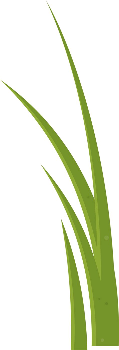 Cartoon Grass Leaves Clip Art 21612208 Png