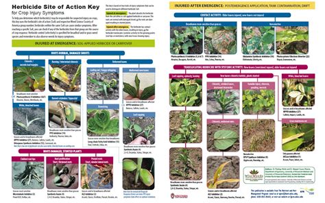 Herbicide Compatibility Chart