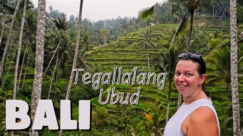 Bali Affen Wasserf Lle Und Reisterrassen Ubud Tegallalang Teil