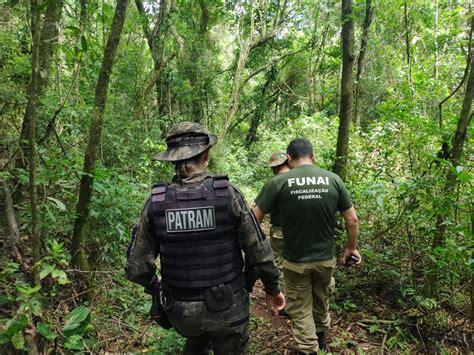 Brigada Militar E Funai Realizam Operação De Combate Ao Desmatamento Na