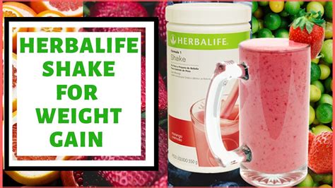 Herbalife To Gain Weight Reviews | Blog Dandk