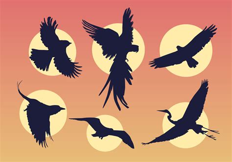 Flying Bird Vector In Illustrator EPS PNG SVG 44 OFF