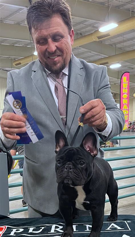 213 best Akc images on Pholder | Akita, Ban Pit Bulls and Australian