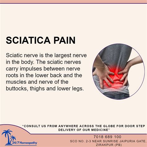 Sciatica Pain Homeopathic Medicine and Treatment in Zirakpur