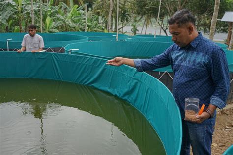 Foto Budi Daya Ikan Sistem Bioflok Dari Dana Desa Di Sabang