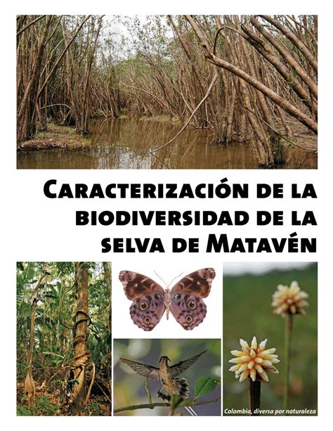 Pdf Caracterización De La Biodiversidad De La Selva De Matavén