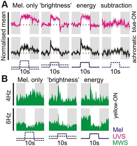 Melanopsin Signals Influence Both Colour And Brightness Sensitive