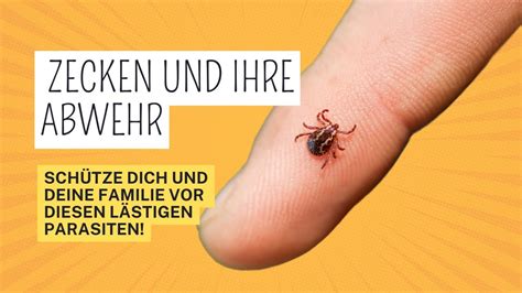 Verabschiede dich von Zecken und genieße Natur in vollen Zügen