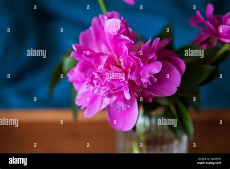 Beautiful Pink Peonies In A Glass Vase Are Standing On A Wooden Tray In