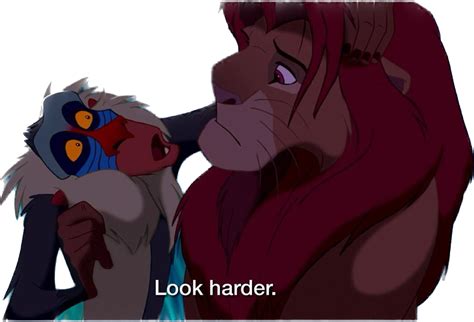 Simba and Rafiki png by riomadagascarkfp1 on DeviantArt