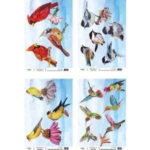 Joggles / Elizabeth St Hilaire A4 Rice Paper - Birds & Blooms Set Of 4 - Joggles.com