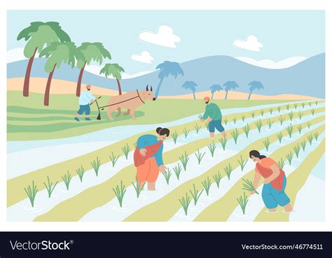 Indian Farmers Working In Rural Paddy Field Vector Image