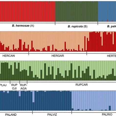 Bar Plots For The Proportion Of Coancestry Inferred From Bayesian