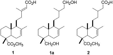 Structures Of Diterpenoids And Isolated From Haplopappus Velutinus