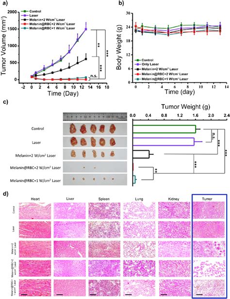 A Curves Of Tumor Volume In A549 Tumor Bearing Mice Treated With