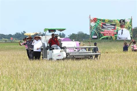 PA BANGKALAN HADIRI PANEN PADI NUSANTARA SATU JUTA HEKTAR