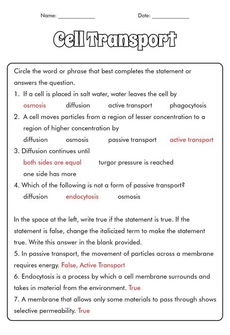 16 Diffusion Osmosis Active Transport Worksheet Osmosis Passive Transport Science Notebook