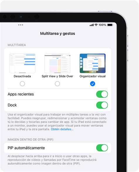 Activar o desactivar el organizador visual en el iPad Soporte técnico