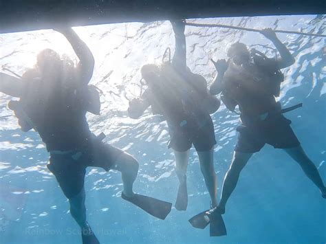 Familiarity and Essential Scuba Diving Basics