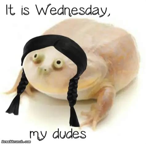 It is Wednesday my dudes - BreakBrunch