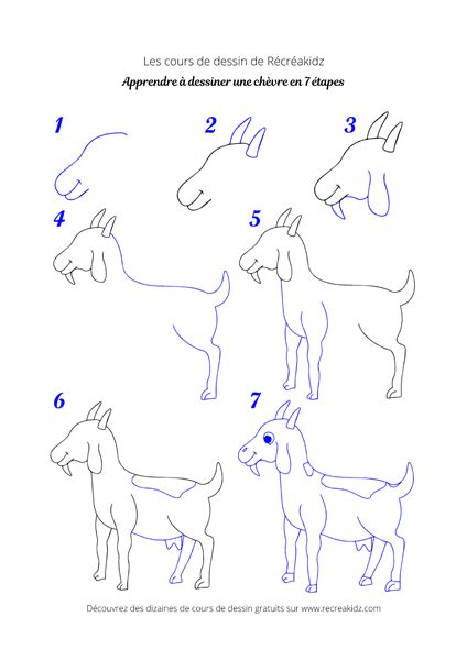 Apprendre à dessiner les animaux de la ferme Tuto vidéo PDF à imprimer