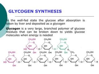 Glycogen synthesis.ppt | Free Download