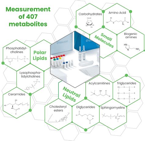 Lipidomics Metabolomics Services Firalis Molecular Precision