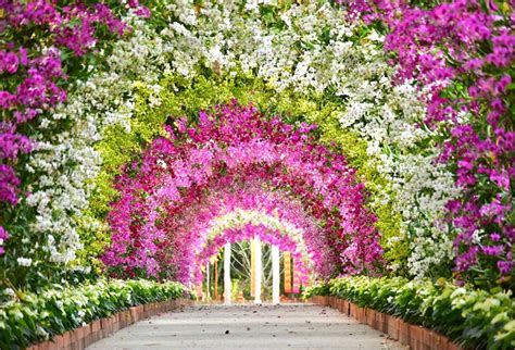 Flower Scenery Wallpapers - Top Free Flower Scenery Backgrounds ...
